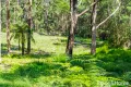 Property photo of LOT 122 Egans Farm Lane Yatte Yattah NSW 2539