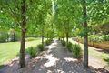 Property photo of 820 Karadoc Avenue Irymple VIC 3498