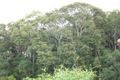 Property photo of 30 The Shores Way Belmont NSW 2280