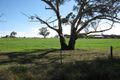 Property photo of 175 Golf Course Road Bordertown SA 5268