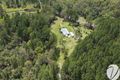 Property photo of 23 Baillies Road Copmanhurst NSW 2460