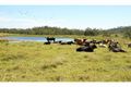 Property photo of 22 Mount Ossa-Seaforth Road Mount Ossa QLD 4741