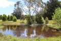 Property photo of 169 Developmental Road Bolwarrah VIC 3352