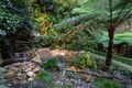 Property photo of 6 Bouvardia Street Niagara Park NSW 2250