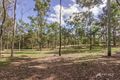 Property photo of 427 Junction Road Karalee QLD 4306
