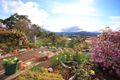 Property photo of 60 Mountain River Road Grove TAS 7109