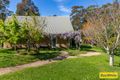 Property photo of 283 Meadows Road Mogendoura NSW 2537