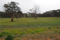 Property photo of 377 Scobie Road Emu Flat SA 5453