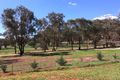 Property photo of 10 Packham Drive Manildra NSW 2865