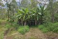 Property photo of LOT 8 Arborone Road Glenwood QLD 4570