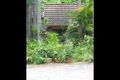 Property photo of 20 Dale Road Camira QLD 4300