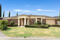 Property photo of 14 Mackie Close Hamlyn Heights VIC 3215