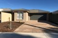 Property photo of 14 Speed Avenue North Plympton SA 5037