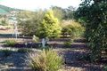 Property photo of 19 Luther Court Minden QLD 4311
