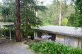 Property photo of 14 Fairy Dell Road Tecoma VIC 3160