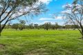 Property photo of 123 Leybourne Street Chelmer QLD 4068