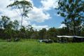 Property photo of 505 The Narrows Road Mount Larcom QLD 4695