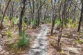 Property photo of 184 Bedlam Flat Road Delamere SA 5204