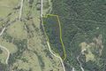 Property photo of 3233 Nerang Murwillumbah Road Natural Bridge QLD 4211