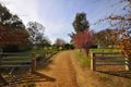 Property photo of 986 Wymah Road Bowna NSW 2644