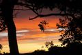 Property photo of 36 Kingfisher Circuit Cams Wharf NSW 2281