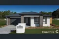 Property photo of 31 Jones Street Coomera QLD 4209