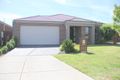 Property photo of 24 Malua Circuit Sandhurst VIC 3977