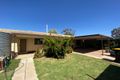Property photo of 174 Seventeenth Street Renmark SA 5341