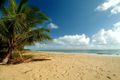 Property photo of 2/53 Sims Esplanade Yorkeys Knob QLD 4878
