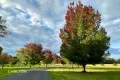 Property photo of 571 Wombeyan Caves Road High Range NSW 2575