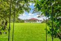Property photo of 59 Ginn Road Malanda QLD 4885