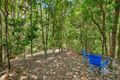 Property photo of 59 Ginn Road Malanda QLD 4885