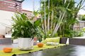 Property photo of 23 Perwell Street Keperra QLD 4054