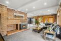 Property photo of 20 Potts Road Langwarrin VIC 3910