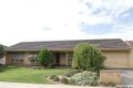 Property photo of 7 Tracey Avenue Flinders Park SA 5025