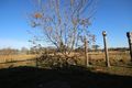 Property photo of 390 Fourth Avenue Austral NSW 2179