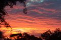 Property photo of 25 Robinson Street Moorooka QLD 4105
