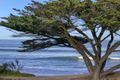 Property photo of 2/273 Great Ocean Road Apollo Bay VIC 3233