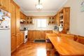 Property photo of 9 Winspear Avenue Bankstown NSW 2200