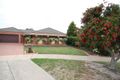 Property photo of 6 Klemke Court Grovedale VIC 3216