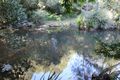 Property photo of 39 Primrose Street Wingham NSW 2429