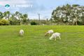 Property photo of 46 Oval Road Mount Torrens SA 5244