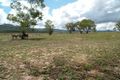 Property photo of 204 Braefarm Road Moonbi NSW 2353