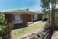 Property photo of 19 Brooklyn Drive Bourkelands NSW 2650