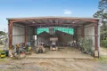 Property photo of 54 Dabee Road Kandos NSW 2848