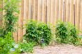 Property photo of 3 Price Street Moss Vale NSW 2577