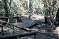 Property photo of 58 Dowitcher Loop Gosnells WA 6110