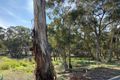 Property photo of 20 Friswell Avenue Flora Hill VIC 3550
