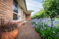 Property photo of 56 Acacia Drive Muswellbrook NSW 2333