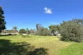 Property photo of 6 River Street Mount Morgan QLD 4714